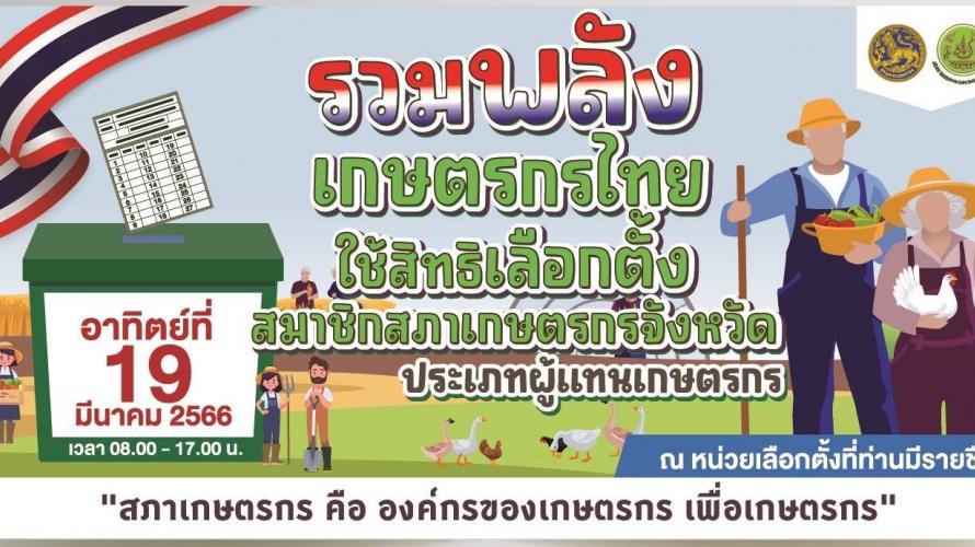 เลือกตั้ง